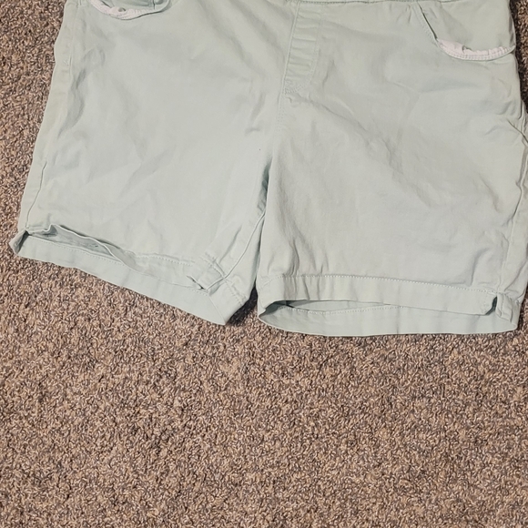 Gloria Vanderbilt Light Green Women's Shorts - Picture 1 of 3